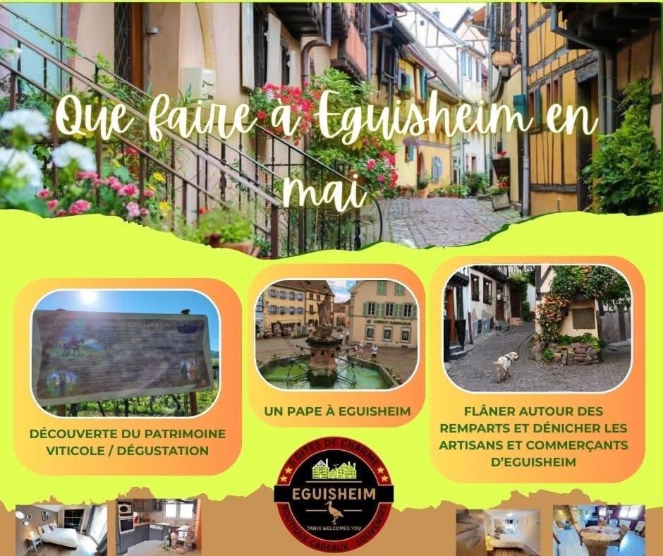 St Leon A Apartment