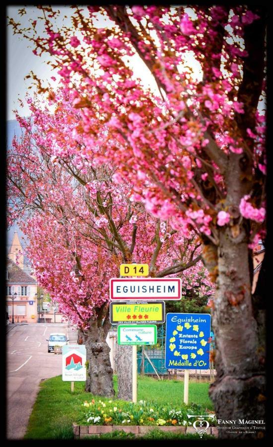 Apartment St Leon A Eguisheim